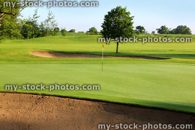 Stock image of golf course with sandy bunker trap, trees, putting green, flag