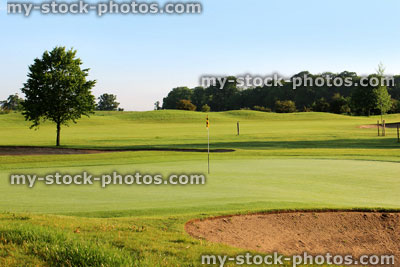 Stock image of golf course with sandy bunker trap, trees and putting green