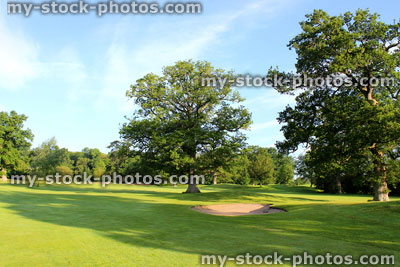 Stock image of sandy bunker on golf course, between oak trees