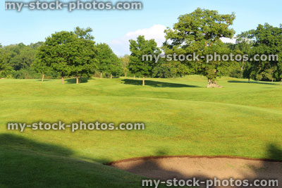 Stock image of golf course with sandy bunker trap, trees, rough grass, fairways