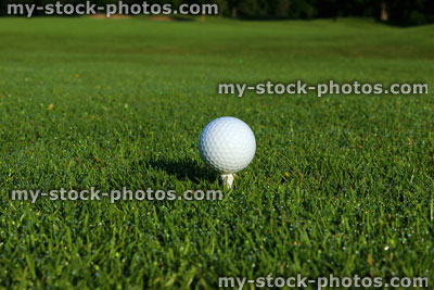 Stock image of golf ball on tee, golf course fairway grass