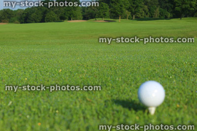 Stock image of golf ball on tee, golf course fairway grass