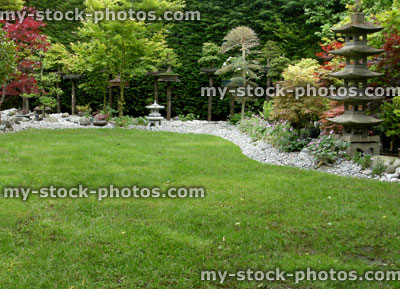 Stock image of bonsai trees in a garden 