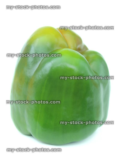 Stock image of large green pepper / capsicum, raw vegetable, white background