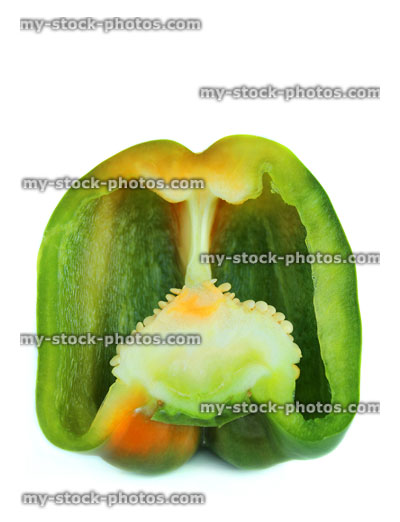 Stock image of large green pepper / capsicum, cross section, cut in half