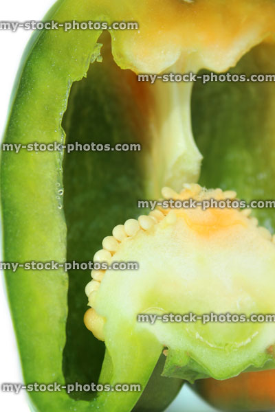 Stock image of large green pepper / capsicum, raw vegetable, sliced in half