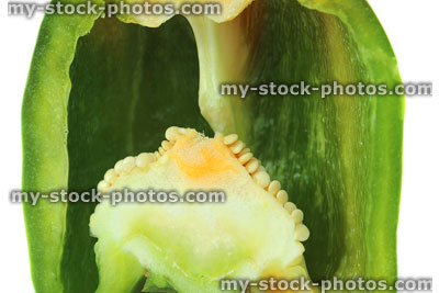 Stock image of green pepper cross section / capsicum, seeds, flesh, placenta, pericarp wall