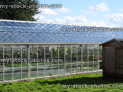 Stock image of large greenhouse / glasshouse filled with bedding plants, garden centre