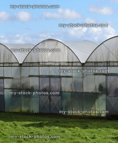 Stock image of plastic polytunnels in row at garden centre nursery