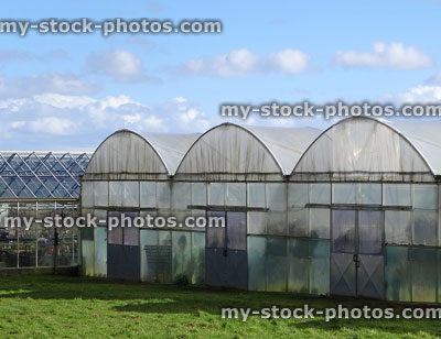 Stock image of polytunnels and glasshouses / greenhouses at garden centre / plant nursery