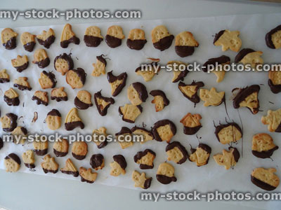 Stock image of homemade dipped chocolate biscuits / cookies, pumpkins, witches, ghosts, ghouls, cookie cutters