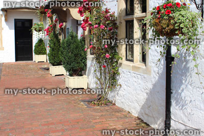 Stock image of summer hanging baskets with flowers, outside white house in country