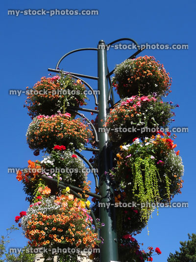 Stock image of pole with multiple summer hanging baskets, trailing flowers