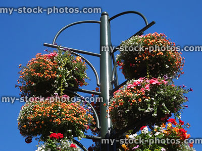 Stock image of hanging basket stand with trailing flowers, geraniums, begonias