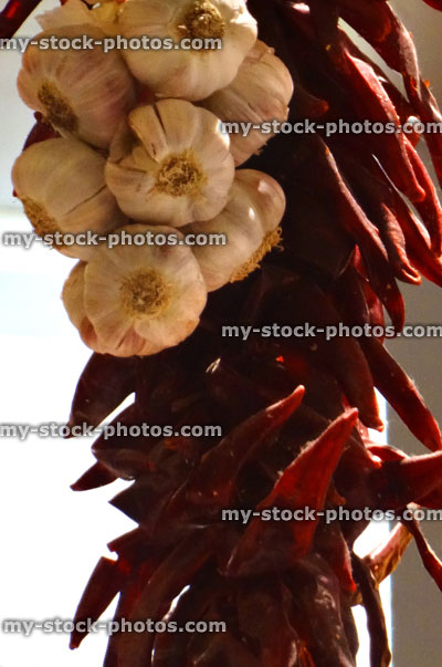 Stock image of string of garlic bulbs / hanging dried red chilies