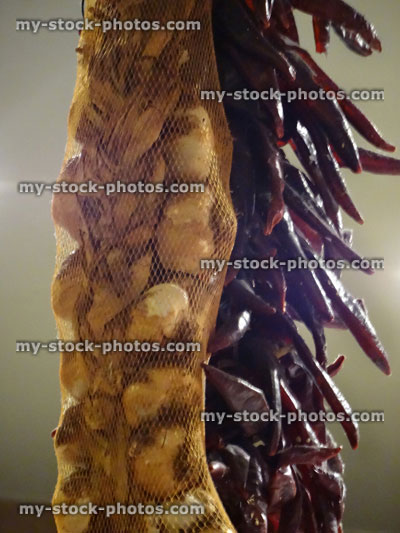 Stock image of string of garlic bulbs / hanging dried red chilies