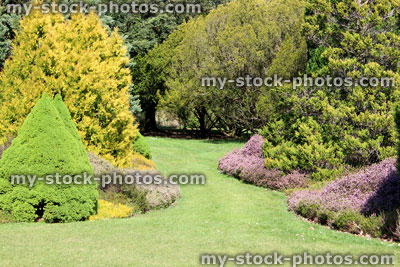 Stock image of mature heather (erica) and dwarf conifer rockery garden with lawn