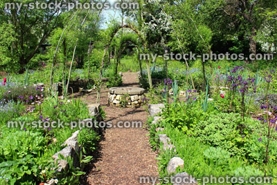Stock image of ornamental vegetable garden with pathway leading to living willow dome