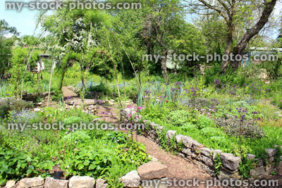 Stock image of ornamental vegetable garden with living willow arches and raised beds