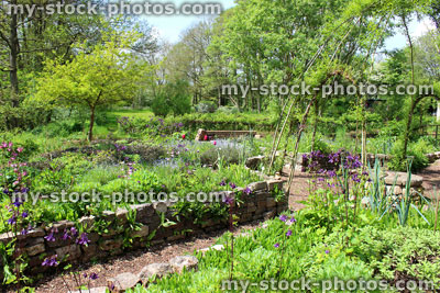 Stock image of ornamental vegetable garden / herb garden with raised beds and arches