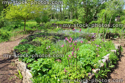 Stock image of ornamental vegetable garden / herb garden with raised beds