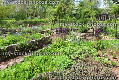 Stock image of ornamental vegetable garden / herb garden with willow weaving