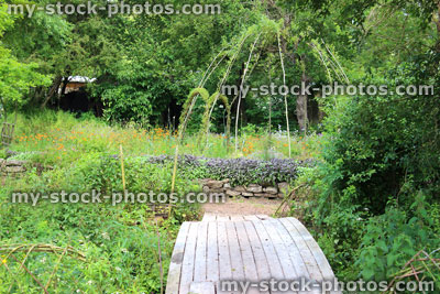 Stock image of ornamental vegetable garden with herbs and living willow arches
