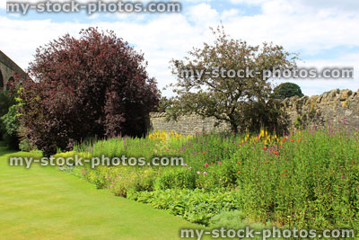 Stock image of herbaceous border in garden with summer flowers / plants