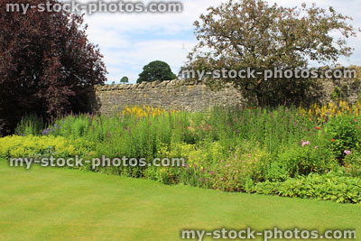 Stock image of herbaceous border in garden with summer flowers / plants