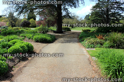 Stock image of gravel pathway through herbaceous flower garden, with cedar
