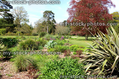Stock image of garden flower bed, with herbaceous plants, grasses, trees