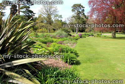 Stock image of park garden, with herbaceous flower border and copper beech tree