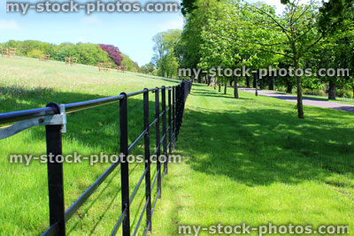 Stock image of black metal fence, farm field, avenue of horse chestnut trees