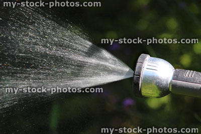 Stock image of garden hose pipe spraying water / sprinkler spray droplets