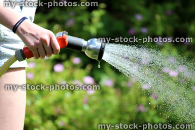 Stock image of girl watering garden lawn with hose pipe rose