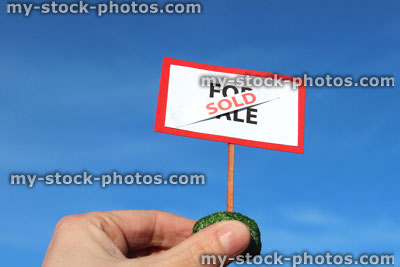 Stock image of small model house For Sale / Sold sign, held in hand