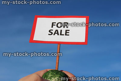 Stock image of small model house For Sale sign / placard, held in hand