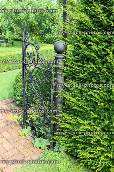Stock image of formal garden, brick paved path, ornate iron gate, yew hedge