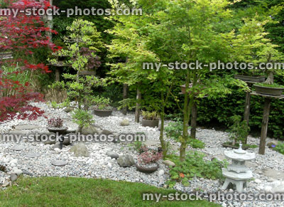 Stock image of Japanese garden, maples, granite lanterns, pebbles, stepping stones