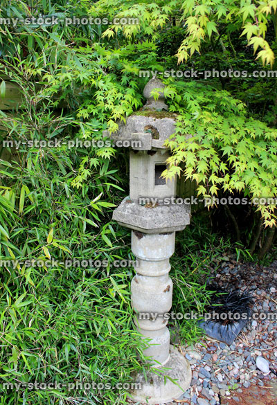 Stock image of Japanese garden with stone pillar lantern and acer palmatum (maple)