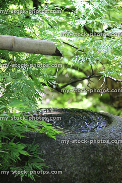 Stock image of bamboo water spout, Natsu me bachi granite basin, Japanese garden / maple