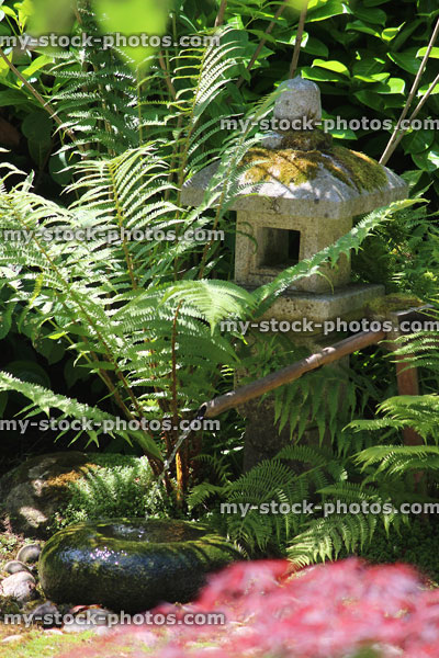 Stock image of granite lantern, water basin and ferns in Japanese garden