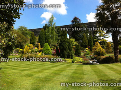 Stock image of mown lawn stripes, formal garden, short green grass