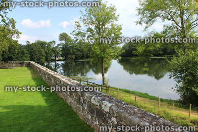 Stock image of old stone wall by path, English oak trees