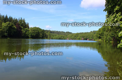 Stock image of fishing lake in sunshine, woodland trees, reflections, sky