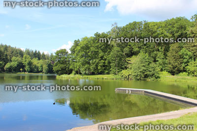 Stock image of fishing lake in sunshine, woodland trees, reflections, sky, wooden jetty