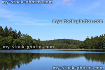 Stock image of fishing lake in sunshine, woodland trees, reflections, sky