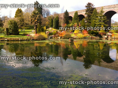 Stock image of Mill Pond in Autumn