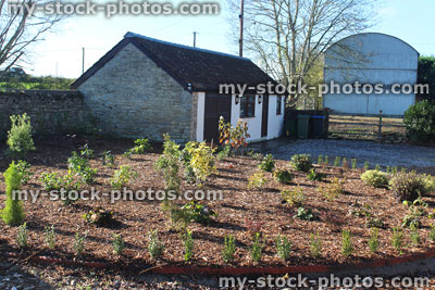 Stock image of landscaped garden with shrubs, flowers, bark mulch, detached garage outbuilding