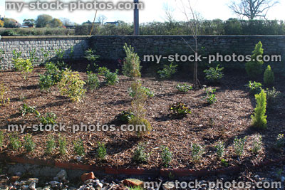 Stock image of landscaped garden with shrubs, flowers, bark mulch, box hedge / hedging